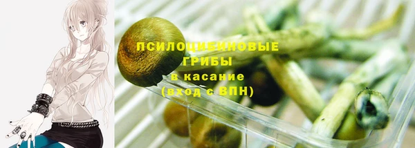 спайс Алексеевка