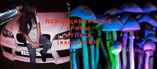 индика Сафоново