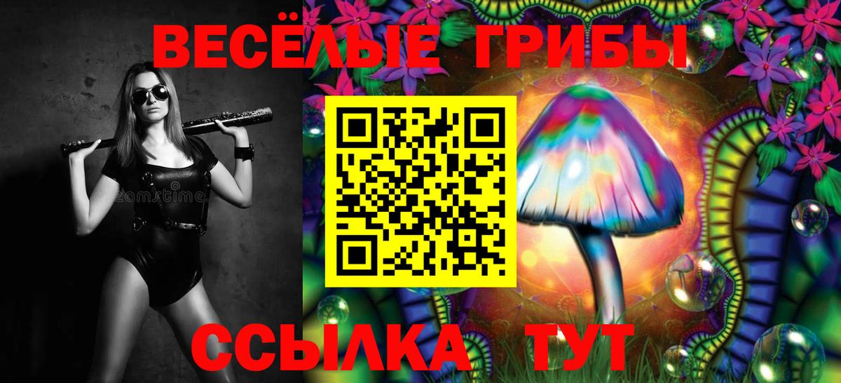 Галлюциногенные грибы GOLDEN TEACHER Волоколамск