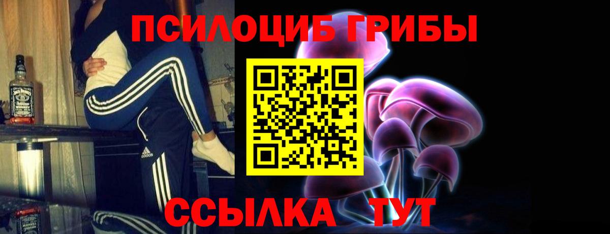 Галлюциногенные грибы Magic Shrooms  Псилоцибиновые грибы Psilocybine cubensis  Волоколамск  Вход с VPN 